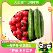 鲜馥新鲜蔬菜小黄瓜，小柿子组合3斤5斤装