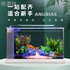 -阿诺比侧过滤静音，鱼缸水族箱小型水草，造景桌面长方形增氧超白玻