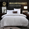 被子被芯酒店宾馆，床上用品专用全棉纯棉，白色夏凉被空调被四季通用