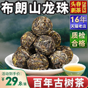 普洱茶生茶新益号新茶布朗山古树龙珠小沱茶叶生普洱小粒装自己喝