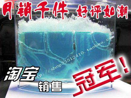 五一特价大号蚂蚁工坊蚂蚁家园儿童玩具生日礼物时尚礼品新奇女友