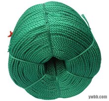 供应 环保产品 塑料绳子