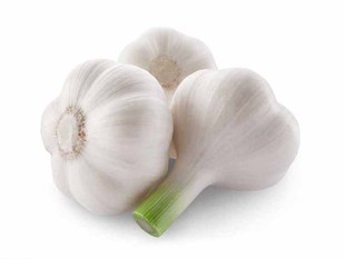  天地生精品蔬菜 大蒜500g 北京满百包邮