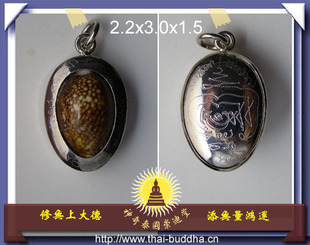 泰国佛牌正庙精品）龙坡本在世制造的灌入水银封沥青避险挡降贝