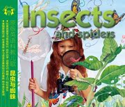 正版美国引进英文儿歌 昆虫和蜘蛛(CD)在英语里学习动物知识