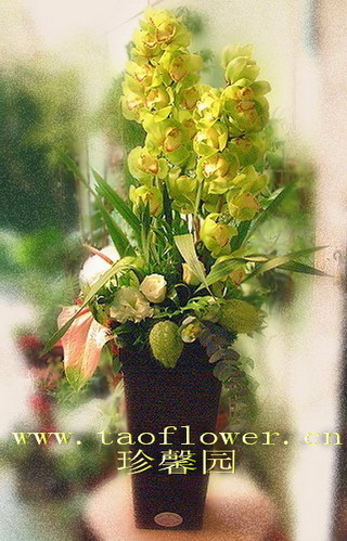 Front desk flowers-Visiting Flowers-Business with flowers-Birthday Flowers-Shanghai Express-Romantic ceremony I65in the Flower delivery/Flowers simulation/Plants gardening , Flower delivery(City) category - from Buy2taobao.com to provide professional Taobao agent buy service