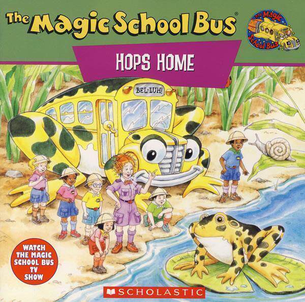 送包★神奇校车 26DVD The Magic School Bus粤英双语 高清