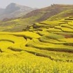 广西旅游团 桂林阳朔旅游旅游团 龙脊梯田、阳朔漓江三天深度游 广西旅游团 桂林阳朔旅游旅游团 龙脊梯田、阳朔漓江三天深度游