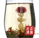 世界冠军-茉莉花茶-工艺花茶
