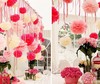 欧美婚房装饰布置 纸花球diy婚礼婚庆生日庆典派对用品彩球多尺寸