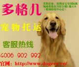 taobao english 5811182056