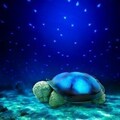 益生贝美 乌龟灯 乌龟星空灯 海龟灯 投影灯 安睡龟 生日礼物