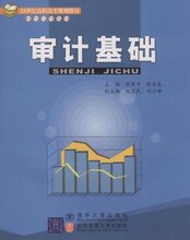 满29元包邮审计基础 (平装)(张永良 张军平)