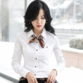衣佳艺人2010新款纯棉修身 职业女衬衫A40 653
