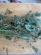 纯热风烤制，优质牧草，龙猫兔仓鼠的最爱，豆蔻草，500克