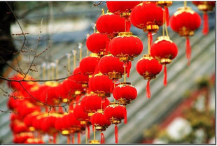  婚房布置装饰用品植绒红灯笼/小灯笼串/串灯结婚装饰20头灯笼250g