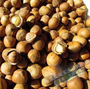  12年货东北特产大兴安岭野生小榛子熟榛子原味饱满三斤包邮送钳