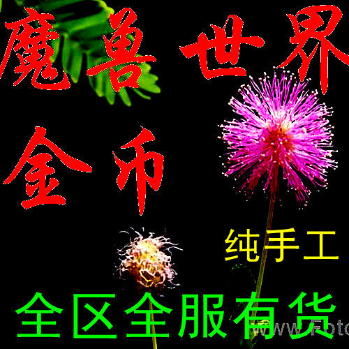 【皇冠手工金】国服魔兽世界金币  五区  守护之剑  联盟10000G
