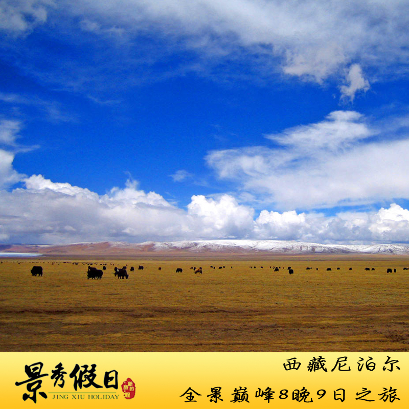 西藏旅游尼泊尔旅游拉萨出发珠穆朗玛峰九日跟团品质纯玩游无购物 西藏旅游尼泊尔旅游拉萨出发珠穆朗玛峰九日跟团品质纯玩游无购物