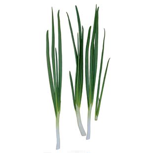  中国有机绿色食品专营 天地生 青蒜500g 北京满百包邮