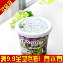 [金冠沪9.9包邮]创意新品盆装园艺DIY-薰衣草