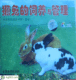 《獭兔的饲养与管理》金盾音像正版VCD光盘