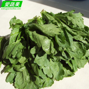  【爱蔬果】绿色食品新鲜蔬菜 茼蒿 北京配送