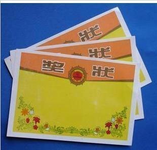 幼儿奖状纸*学生奖状纸*32开小奖状*32K空白奖状纸 10张1.4在类目 玩具/童车/益智/积木/模型, 早教/智能玩具, 早教教具/早教套装中 - 来自Buy2taobao.com提供专业的淘宝代购服务