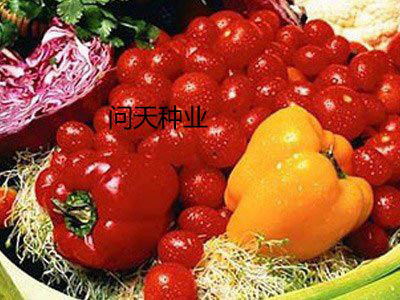 问天种业差价补拍