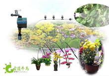 家庭花卉、盆栽定时浇水9V电池自动浇花器 出差旅游花草不用愁