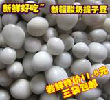 taobao english 13519402631