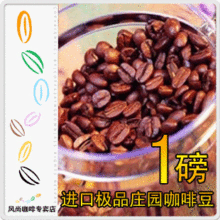 ��ʹ�---���ʺ��༫Ʒׯ԰Ħ�����ȶ�