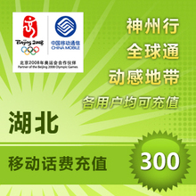 湖北移动300元快冲 手机话费充值卡 自动充值 10分钟到账