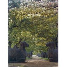 【正版包邮】中国建筑艺术全集7(王其享)