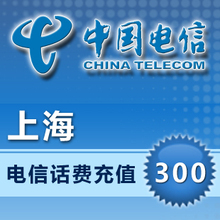 上海电信300元