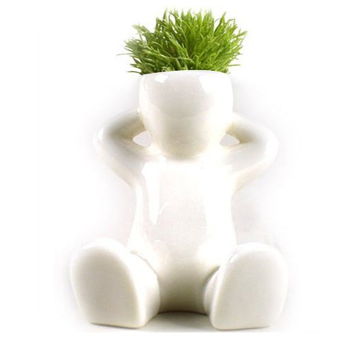  小白人青草种植(坐) 