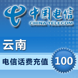 云南电信100元