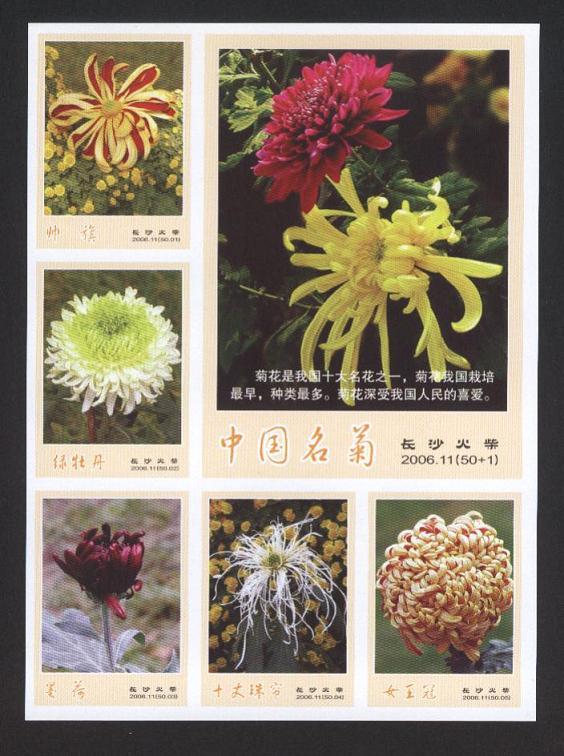 长沙火花----中国名菊 全套50+1枚在类目 ZIPPO/瑞士军刀/眼镜, 烟具, 火柴中 - 来自Buy2taobao.com提供专业的淘宝代购服务