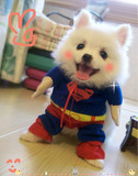 taobao english 4545715775