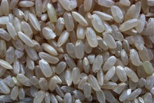 东北农家五常稻花香糙米自家粗粮五谷杂粮粳米胚芽米发芽糙米