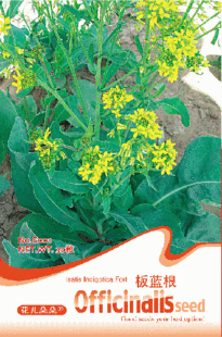 花卉%-新世界种子系列  蔬菜系列  板蓝根