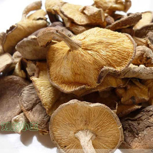  野生香菇 广西 土特产 香菇类 食用菌 干货 南北干货 蔬果 散装