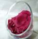 仿真玫瑰花瓣酒红色婚庆用品