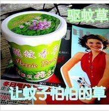 夏季热销~盆式精装驱蚊草 让蚊子怕怕的草哦~0.05
