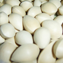 新鲜白果 天然野生 银杏果 防治老年痴呆 哮喘 痰咳 遗精 250g