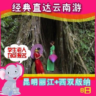 厦门到云南旅游 昆明丽江西双版纳8日经典直达游 青老年可报名 厦门到云南旅游 昆明丽江西双版纳8日经典直达游 青老年可报名