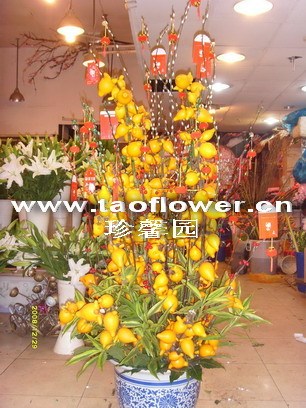 特价新年鲜花-春节鲜花-黄金果-上海速递-缘馨礼仪X19在类目 鲜花速递/花卉仿真/绿植园艺, 鲜花速递(同城)中 - 来自Buy2taobao.com提供专业的淘宝代购服务
