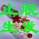 冲冠特价/防脱止脱生发/脱发专用/买就送