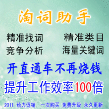 【一周年】淘词助手标准版 关键词选词 关键词优化排名 优化标题