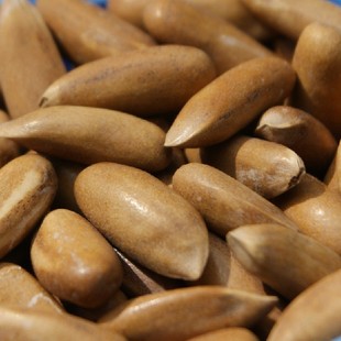  4月新货 保证个大无坏子 巴西松子 松子 易拉罐精装 包邮 500克